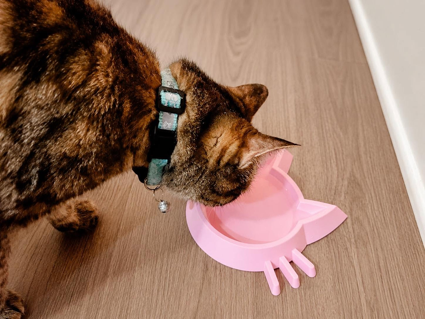 3D Printed Cat Food/Water Bowl