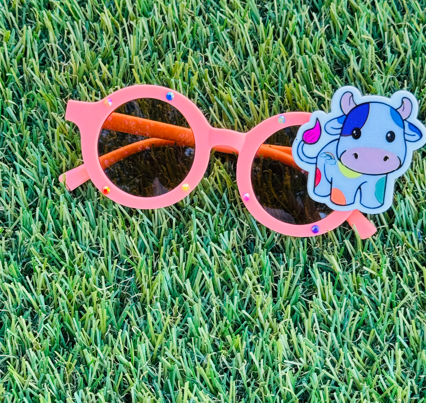 Rainbow Cow Sunnies