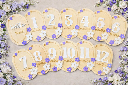 Custom Themed Monthly Milestone Set (1–12 Months)